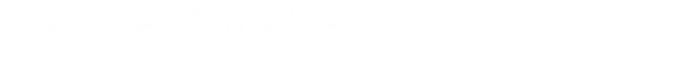 Somos una firma de consultoría integral en materia legal  que protegemos los intereses patrimoniales de nuestros clientes.
